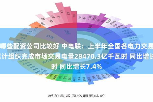 哪些配资公司比较好 中电联：上半年全国各电力交易中心累计组织完成市场交易电量28470.3亿千瓦时 同比增长7.4%