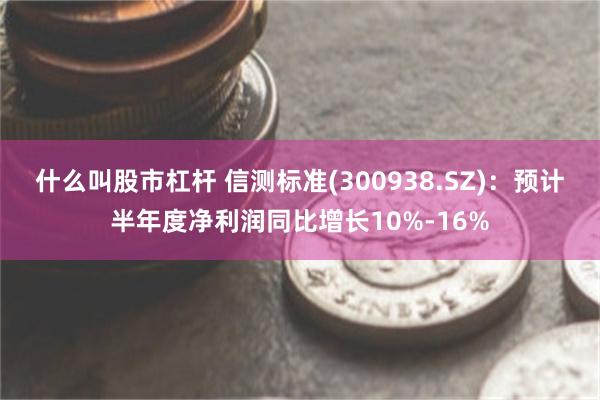 什么叫股市杠杆 信测标准(300938.SZ)：预计半年度净利润同比增长10%-16%