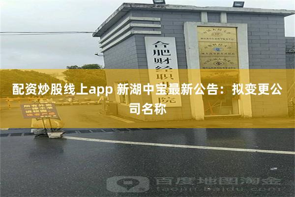 配资炒股线上app 新湖中宝最新公告：拟变更公司名称