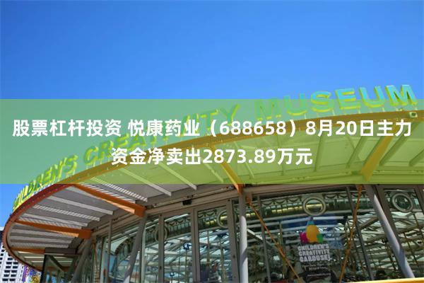 股票杠杆投资 悦康药业（688658）8月20日主力资金净卖出2873.89万元