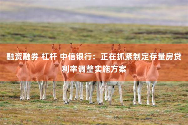 融资融券 杠杆 中信银行：正在抓紧制定存量房贷利率调整实施方案