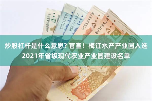 炒股杠杆是什么意思? 官宣！梅江水产产业园入选2021年省级现代农业产业园建设名单